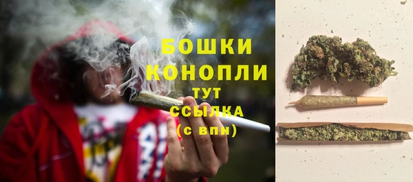 мяу мяу мука Беломорск