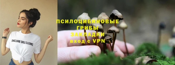 дмт Белокуриха