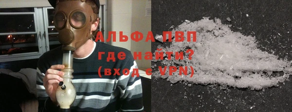 дмт Белокуриха