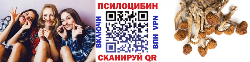 Галлюциногенные грибы мухоморы  Тосно 